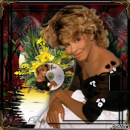 Tina Turner - Darmowy animowany GIF
