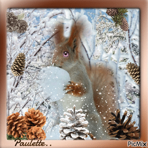 écureuil en hiver - Безплатен анимиран GIF