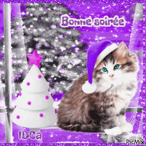 Bonne soirée les chatons viollet - Free animated GIF