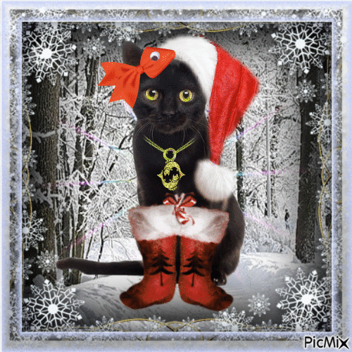 black cat ❣️ черный кот - GIF animé gratuit