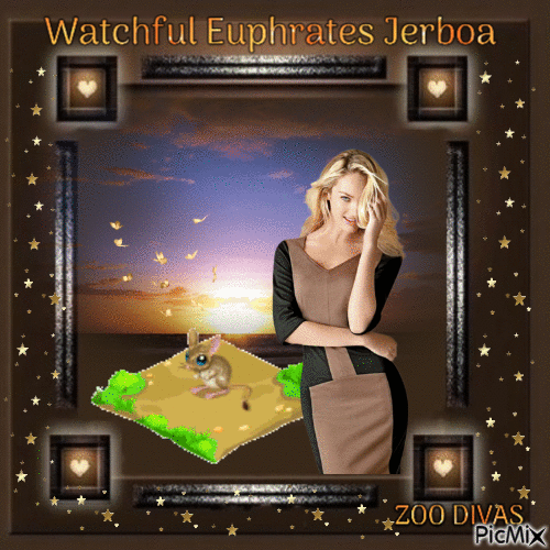 Watchful Euphrates jerboa - FEED - 無料のアニメーション GIF