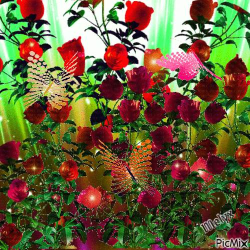Roses - Darmowy animowany GIF