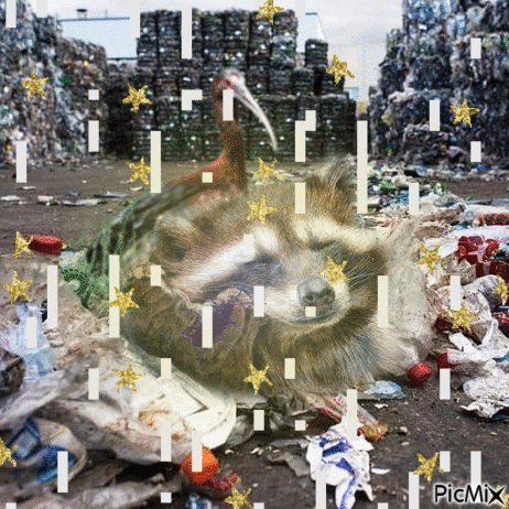 Trash friends - 免费动画 GIF