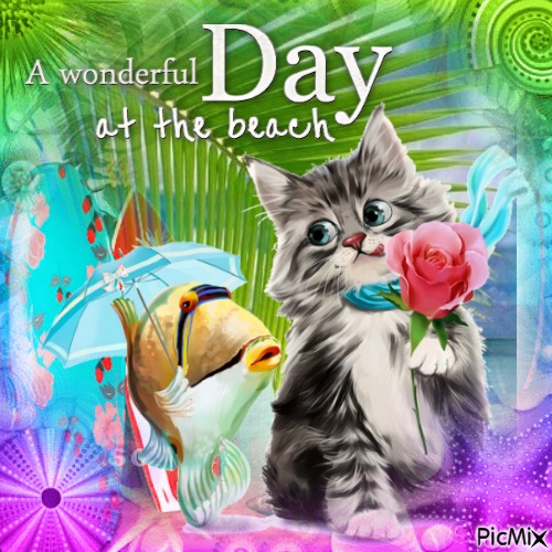 Summer cat(s) - Free PNG