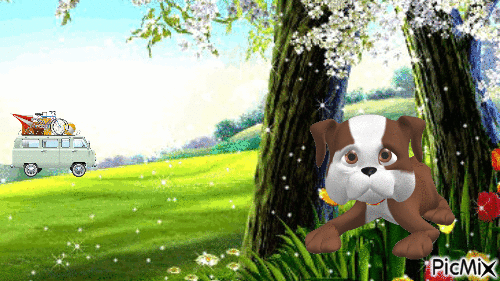 Chien - Free animated GIF