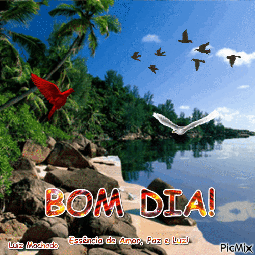 Bom Dia! - 無料のアニメーション GIF