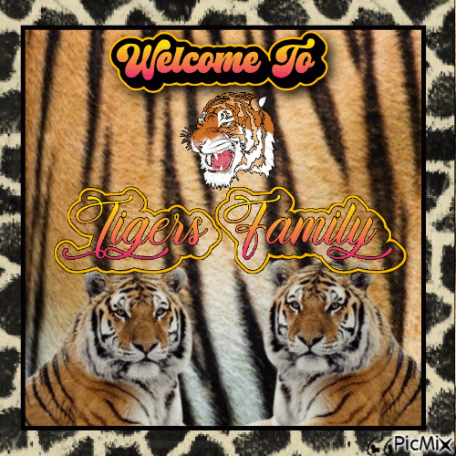 Tigers - GIF animado grátis