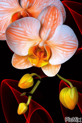 virág - Besplatni animirani GIF