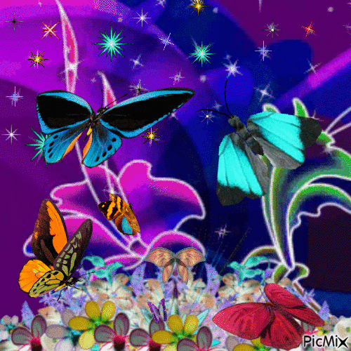 Papillons - GIF animate gratis