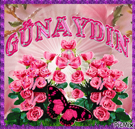 GÜNAYDIN - 無料のアニメーション GIF