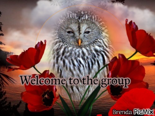 WELCOME OWL - безплатен png
