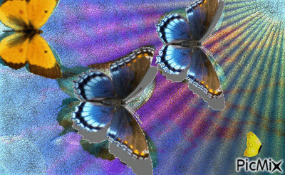 butterflies digital art by tonydanis - GIF animado gratis