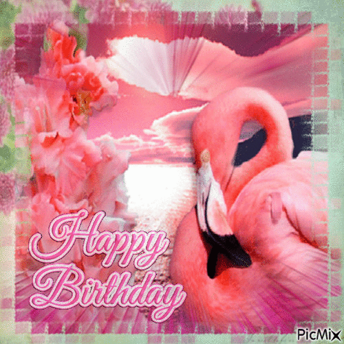 Flamingo Birthday - Free animated GIF