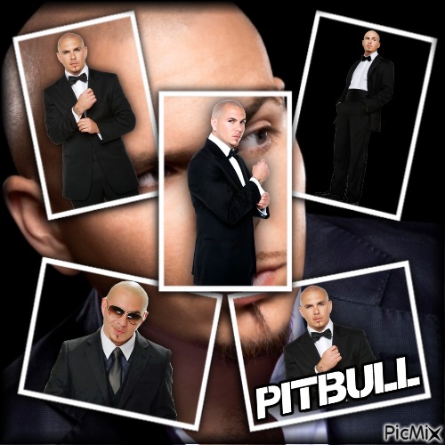 Pitbull-RM-04-01-23 - 無料png