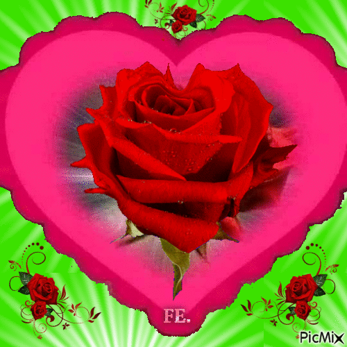 Vörös rózsa szívben. - Animovaný GIF zadarmo