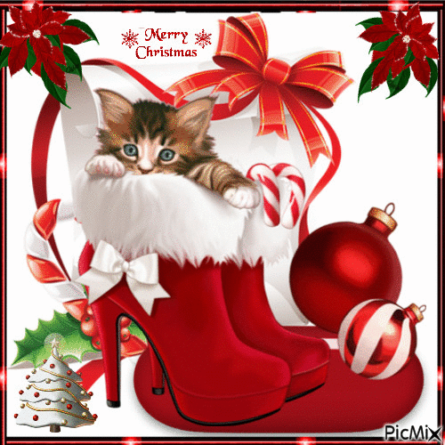 Christmascat - Ingyenes animált GIF