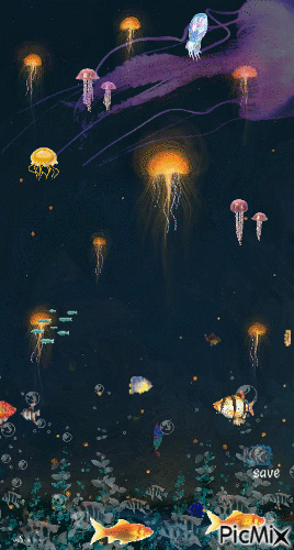medusas - GIF animado gratis