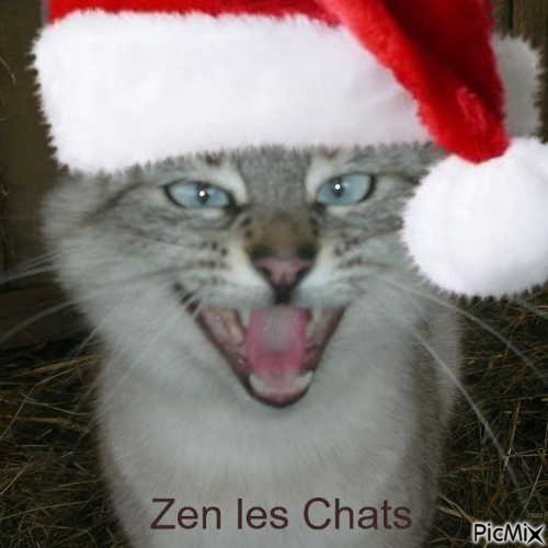 Zen les chats - Free PNG