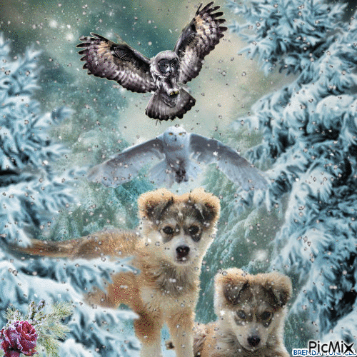 WINTER OWL WITH PUPPIES - Animovaný GIF zadarmo