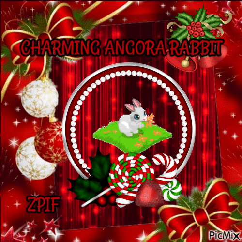 Charming Angora Rabbit - GIF animado grátis