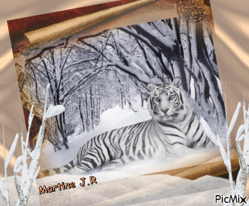 Tigre blanc - GIF animado gratis