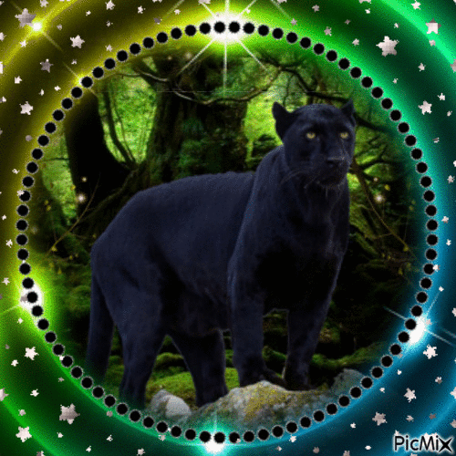 Panther - GIF animado gratis