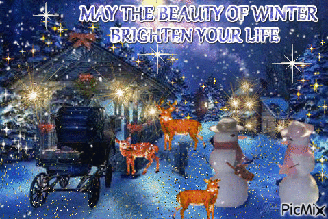THE BEAUTY OF WINTER - Free animated GIF