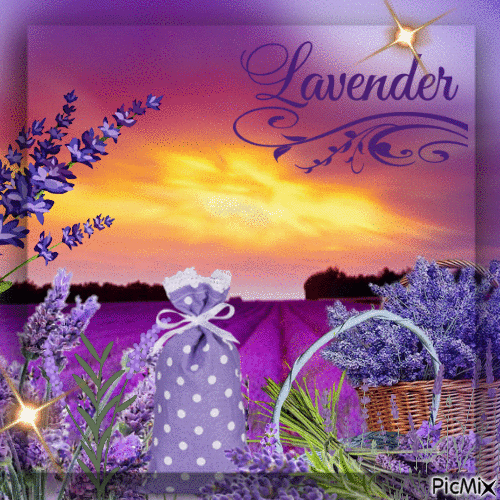 Lavendel - 無料のアニメーション GIF