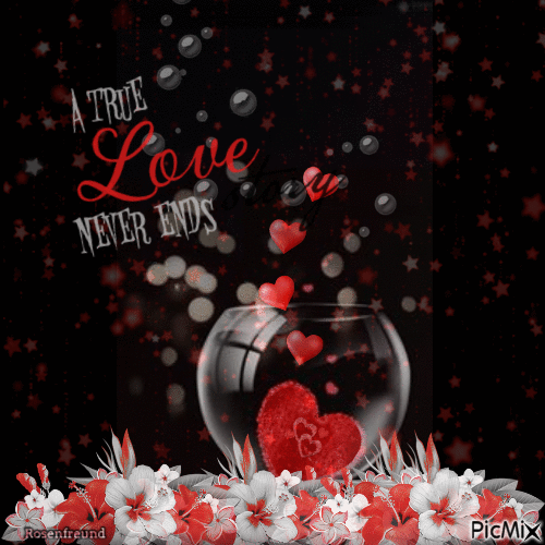 A true Love never ends - Δωρεάν κινούμενο GIF