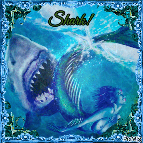 Shark! - Ingyenes animált GIF