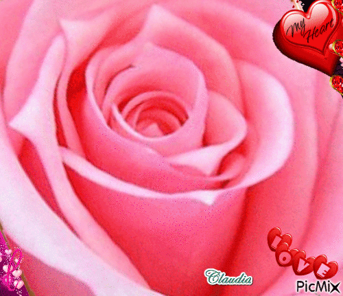 Rosa d'Amore - Gratis geanimeerde GIF