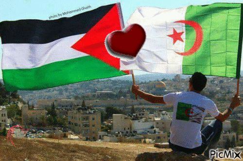 فلسطين الحبيبة - Gratis geanimeerde GIF