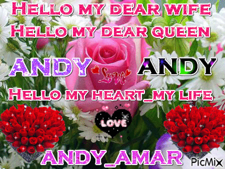 HELLO MY DEAR WIFE ANDY - Бесплатный анимированный гифка