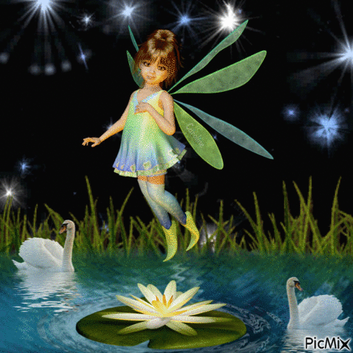 fairy at night - 無料のアニメーション GIF