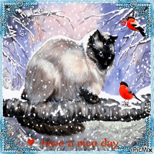 Winter. Have a nice day. Cat and birds - GIF animé gratuit