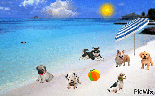 chiens à la plage - Безплатен анимиран GIF