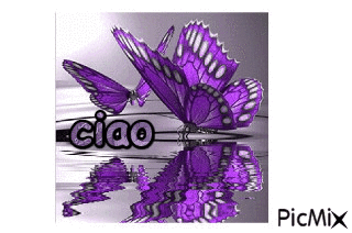 ciao - Kostenlose animierte GIFs