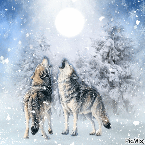 Wolves || Winter Edition - GIF animate gratis