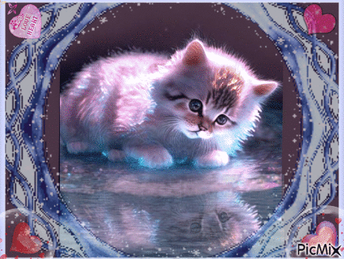Amazing kitten - GIF animate gratis