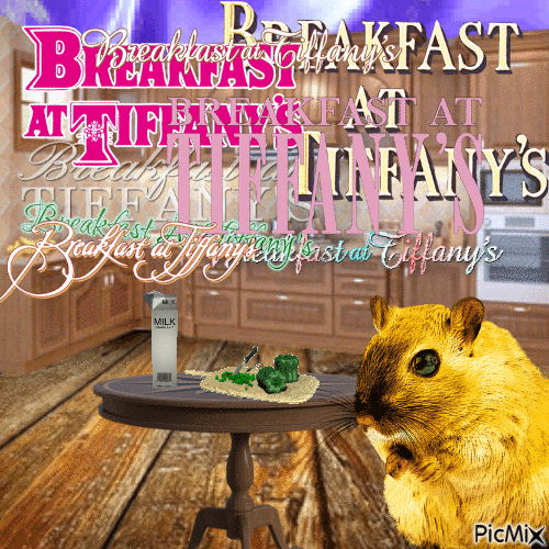 breakfast at tiffanys - Gratis animerad GIF