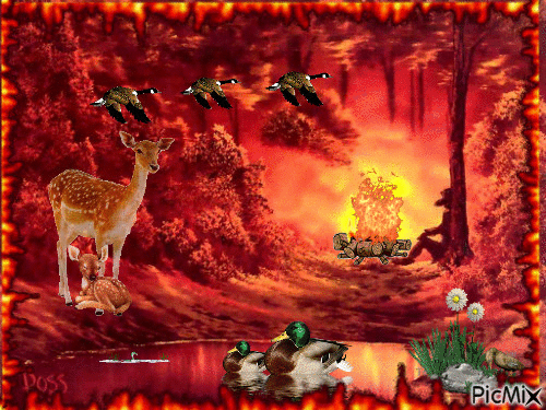 FALL COLORS MOSTLY ORANGE MAN AND FIRE, NEAR LAKE WITH 2 DUCKS SWIMMING, A DEER AND BABY IN THE BANK.3 DUCKS FLYING, ONE DUCK ON THE BANK, BORDER OF FIRE. - Animovaný GIF zadarmo