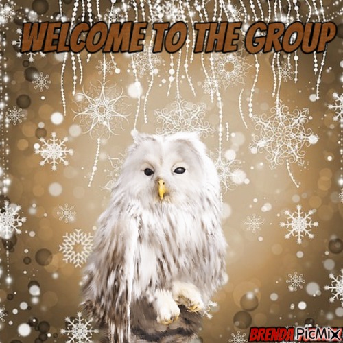 Winter welcome owl - png gratis