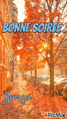 bnne soiree - Ingyenes animált GIF