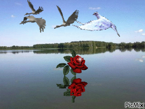 skromna piękność - Ingyenes animált GIF