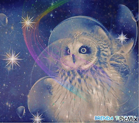 OUTER SPACE OWL - GIF animasi gratis