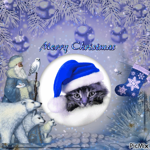 Christmas cat - Animovaný GIF zadarmo