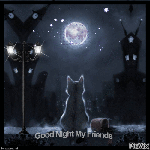 Good Night my Friends - GIF animado grátis