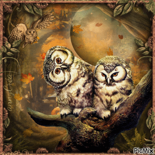 Owl fantasy