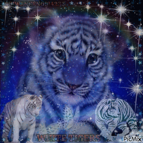 White Tigers - Nemokamas animacinis gif