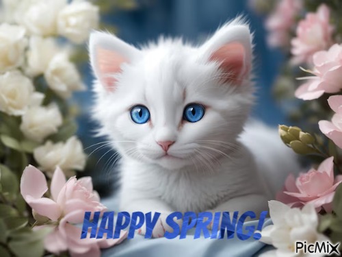 Happy Spring - zadarmo png